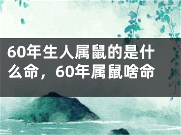 60年生人属鼠的是什么命，60年属鼠啥命