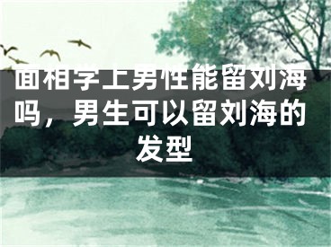 面相学上男性能留刘海吗，男生可以留刘海的发型