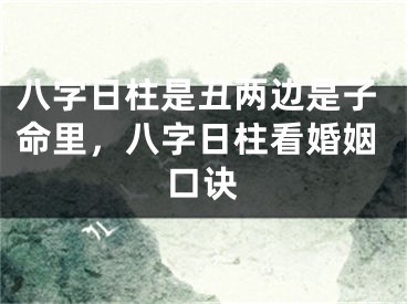 八字日柱是丑两边是子命里，八字日柱看婚姻口诀
