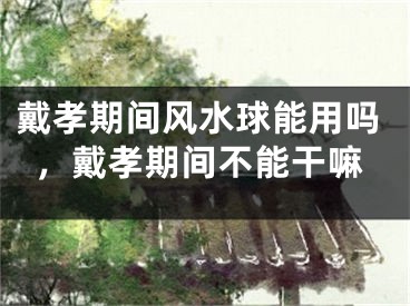 戴孝期间风水球能用吗，戴孝期间不能干嘛