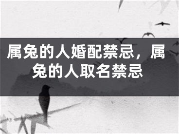 属兔的人婚配禁忌，属兔的人取名禁忌