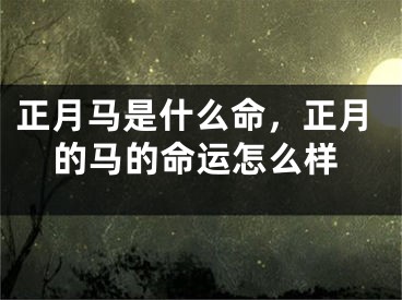 正月马是什么命，正月的马的命运怎么样