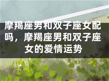 摩羯座男和双子座女配吗，摩羯座男和双子座女的爱情运势