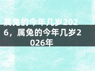 属兔的今年几岁2026，属兔的今年几岁2026年