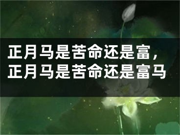 正月马是苦命还是富，正月马是苦命还是富马