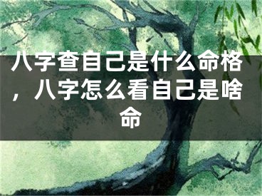 八字查自己是什么命格，八字怎么看自己是啥命