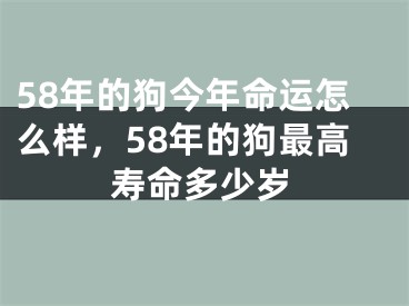 58年的狗今年命运怎么样，58年的狗最高寿命多少岁