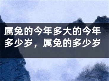 属兔的今年多大的今年多少岁，属兔的多少岁