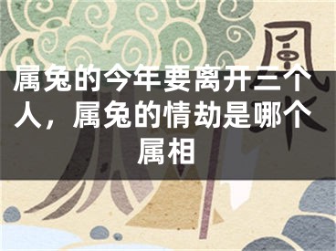属兔的今年要离开三个人，属兔的情劫是哪个属相