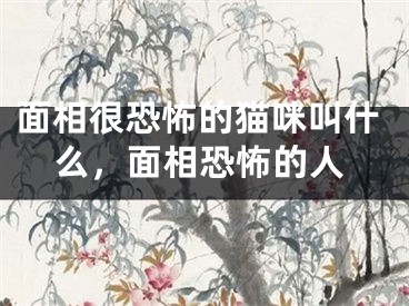 面相很恐怖的猫咪叫什么，面相恐怖的人