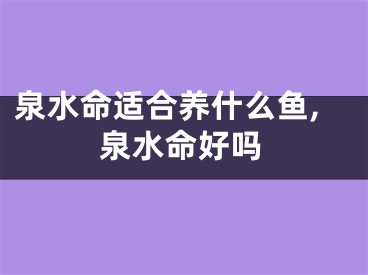 泉水命适合养什么鱼,泉水命好吗