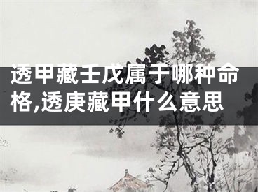 透甲藏壬戊属于哪种命格,透庚藏甲什么意思