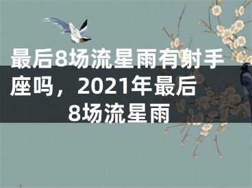 最后8场流星雨有射手座吗，2021年最后8场流星雨