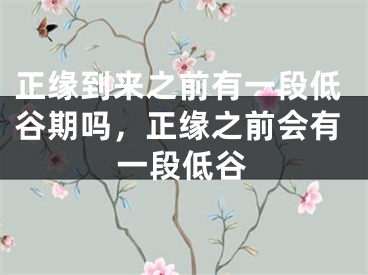 正缘到来之前有一段低谷期吗，正缘之前会有一段低谷