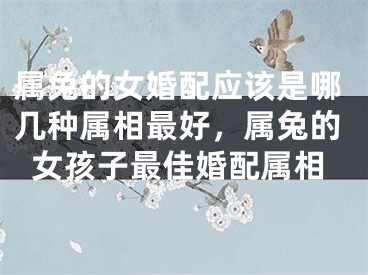 属兔的女婚配应该是哪几种属相最好，属兔的女孩子最佳婚配属相