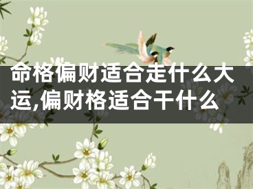 命格偏财适合走什么大运,偏财格适合干什么