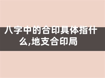 八字中的合印具体指什么,地支合印局