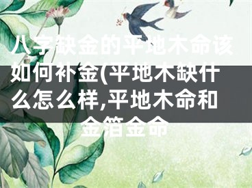 八字缺金的平地木命该如何补金(平地木缺什么怎么样,平地木命和金箔金命