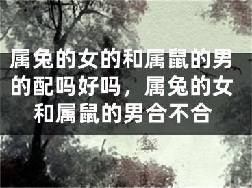 属兔的女的和属鼠的男的配吗好吗，属兔的女和属鼠的男合不合