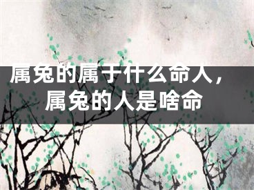 属兔的属于什么命人，属兔的人是啥命