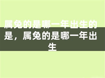 属兔的是哪一年出生的是，属兔的是哪一年出生