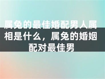 属兔的最佳婚配男人属相是什么，属兔的婚姻配对最佳男