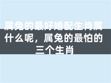 属兔的最好婚配生肖属什么呢，属兔的最怕的三个生肖