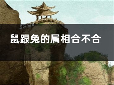 鼠跟兔的属相合不合