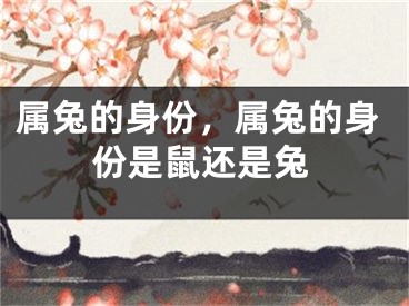 属兔的身份，属兔的身份是鼠还是兔