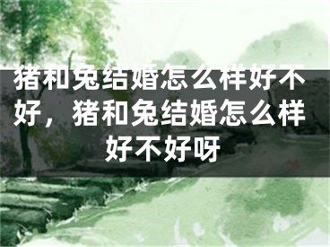 猪和兔结婚怎么样好不好，猪和兔结婚怎么样好不好呀