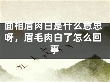 面相眉肉白是什么意思呀，眉毛肉白了怎么回事