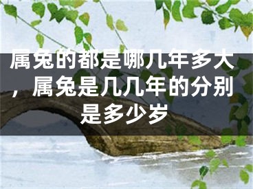 属兔的都是哪几年多大，属兔是几几年的分别是多少岁