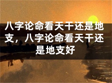 八字论命看天干还是地支，八字论命看天干还是地支好
