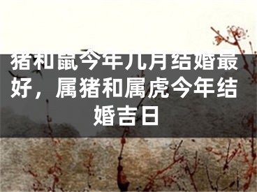 猪和鼠今年几月结婚最好，属猪和属虎今年结婚吉日