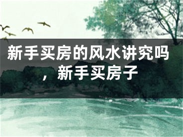 新手买房的风水讲究吗，新手买房子