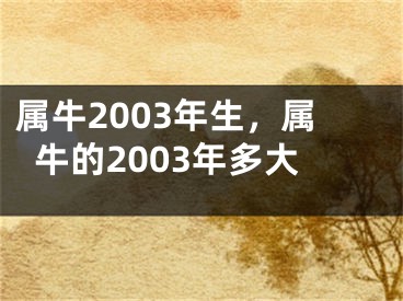 属牛2003年生，属牛的2003年多大