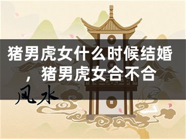 猪男虎女什么时候结婚，猪男虎女合不合