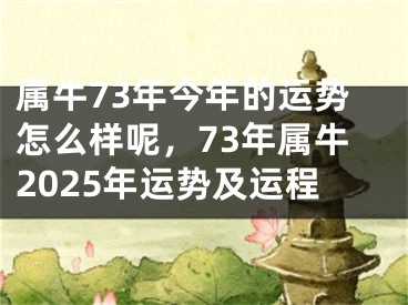 属牛73年今年的运势怎么样呢，73年属牛2025年运势及运程