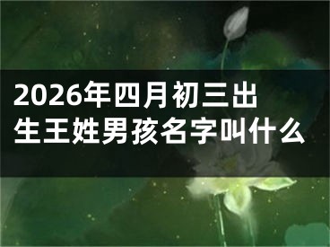2026年四月初三出生王姓男孩名字叫什么