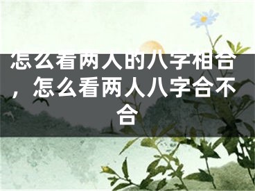 怎么看两人的八字相合,怎么看两人八字合不合