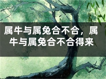 属牛与属兔合不合,属牛与属兔合不合得来