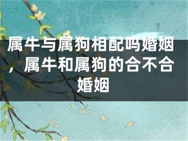 属牛与属狗相配吗婚姻，属牛和属狗的合不合婚姻