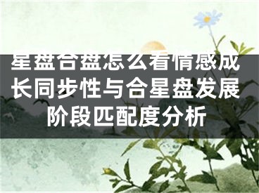 星盘合盘怎么看情感成长同步性与合星盘发展阶段匹配度分析