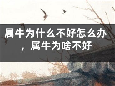 属牛为什么不好怎么办，属牛为啥不好