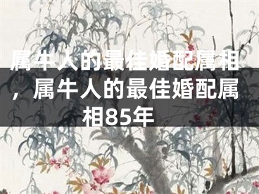属牛人的最佳婚配属相,属牛人的最佳婚配属相85年