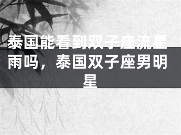 泰国能看到双子座流星雨吗，泰国双子座男明星