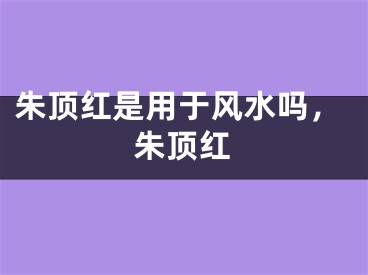 朱顶红是用于风水吗，朱顶红