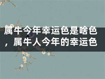 属牛今年幸运色是啥色，属牛人今年的幸运色