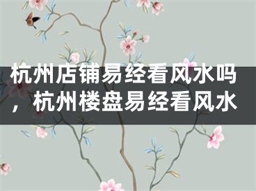 杭州店铺易经看风水吗，杭州楼盘易经看风水