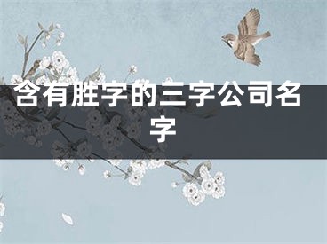 含有胜字的三字公司名字